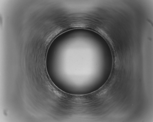 X0000099490529200805151409
