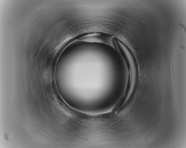 X0000099490530200805151409