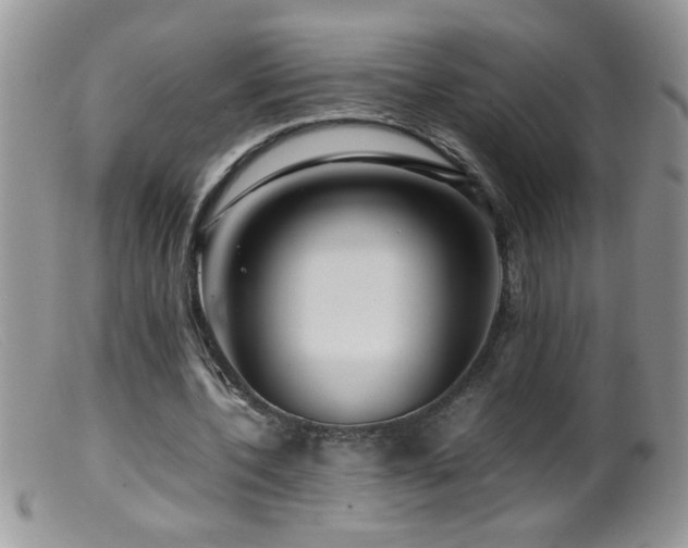 X0000099490532200805151409