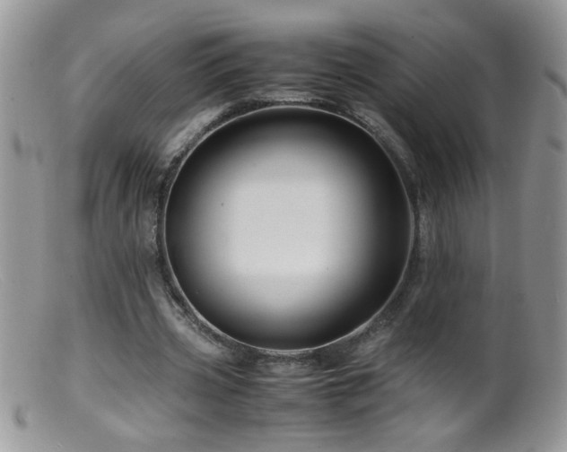 X0000099490533200805151409