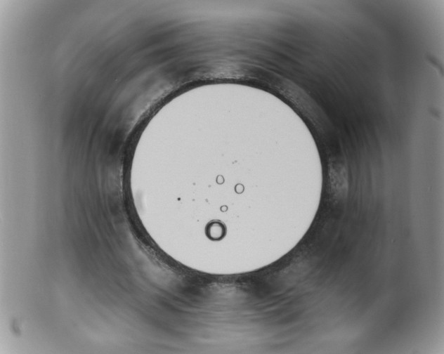 X0000099490534200805151409