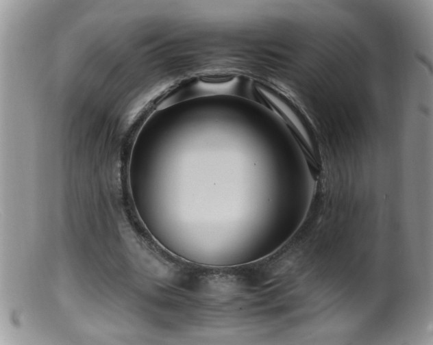 X0000099490535200805151409