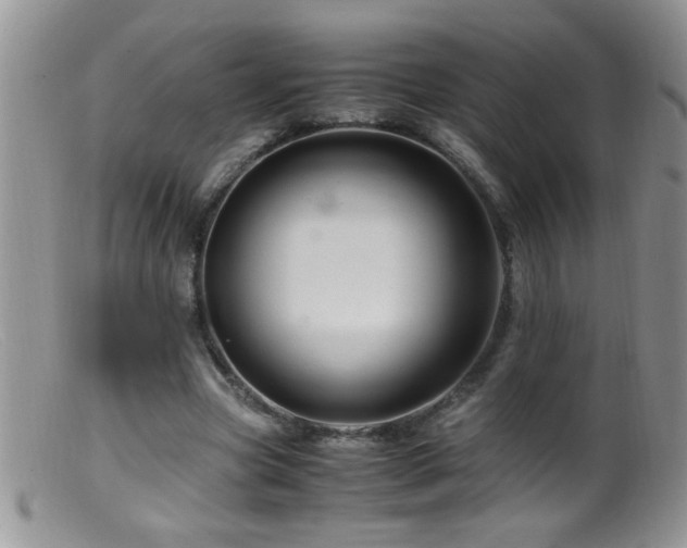 X0000099490537200805151409