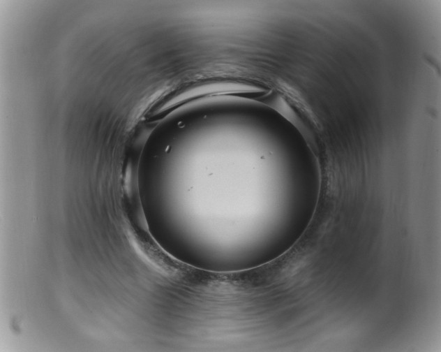 X0000099490538200805151409
