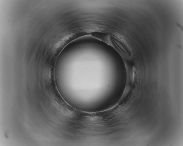 X0000099490539200805151409