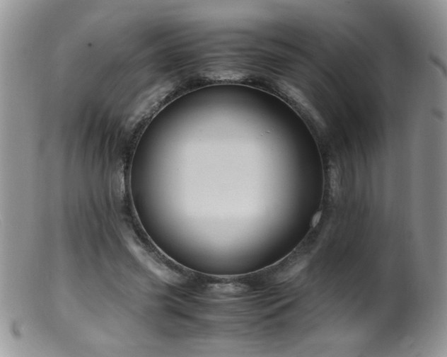 X0000099490541200805151409