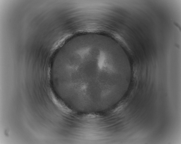X0000099490542200805151409