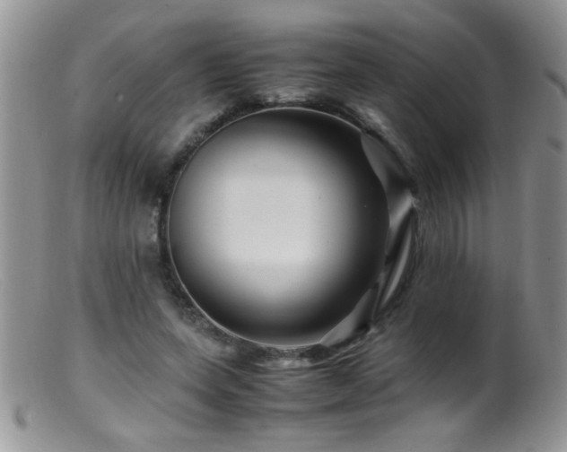X0000099490543200805151409