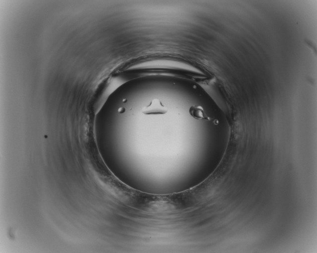X0000099490544200805151409