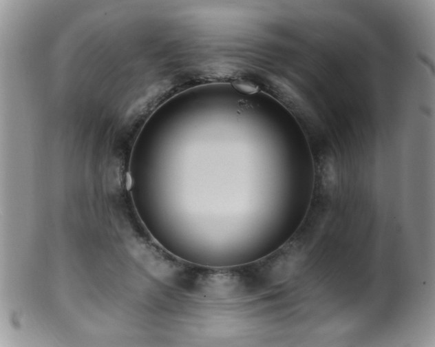 X0000099490546200805151409