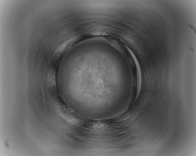 X0000099490547200805151409