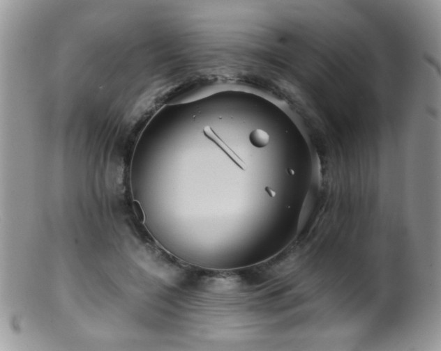 X0000099490548200805151409
