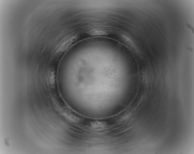 X0000099490549200805151409