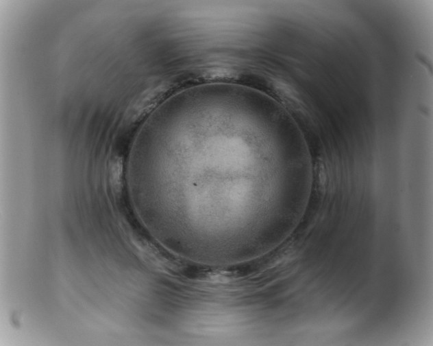 X0000099490550200805151409