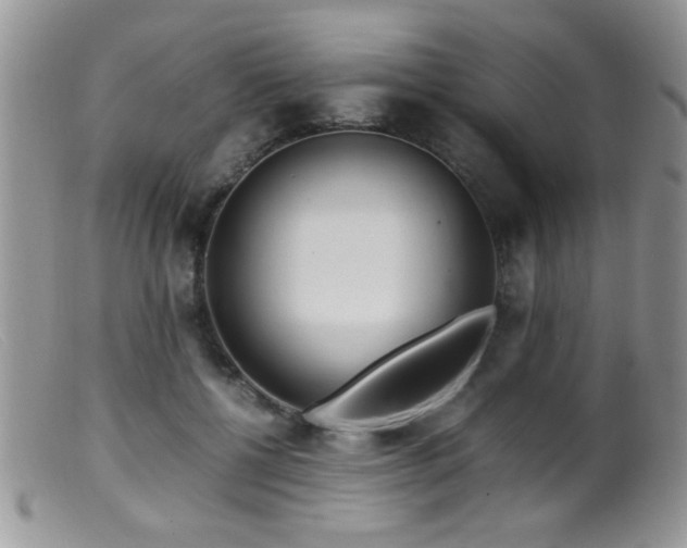 X0000099490552200805151409