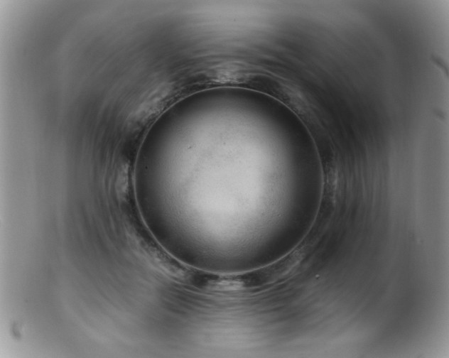 X0000099490554200805151409