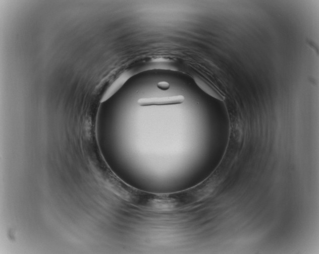 X0000099490556200805151409