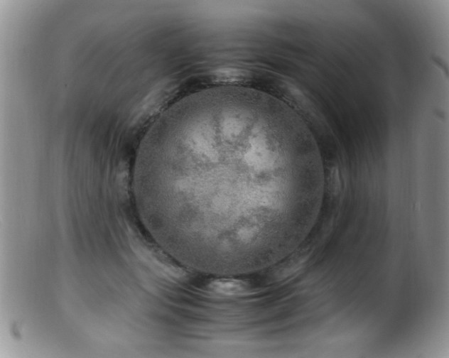 X0000099490557200805151409