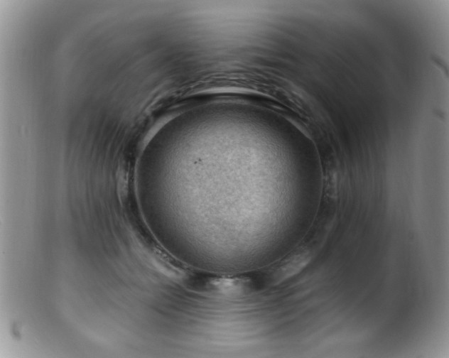 X0000099490558200805151409