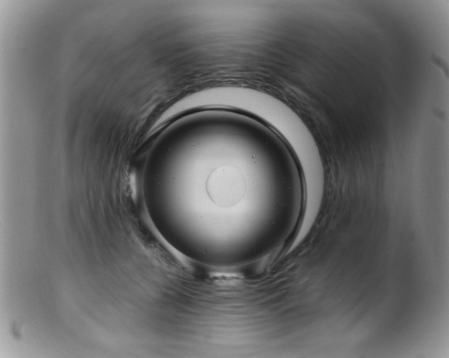 X0000099490560200805151410