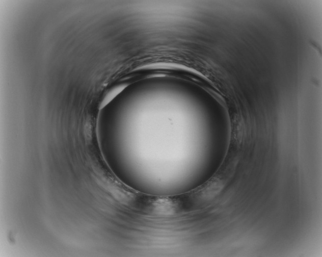 X0000099490562200805151410
