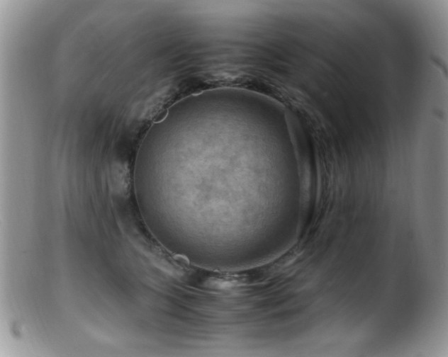 X0000099490563200805151410