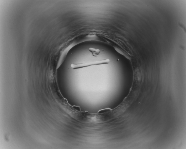 X0000099490564200805151410
