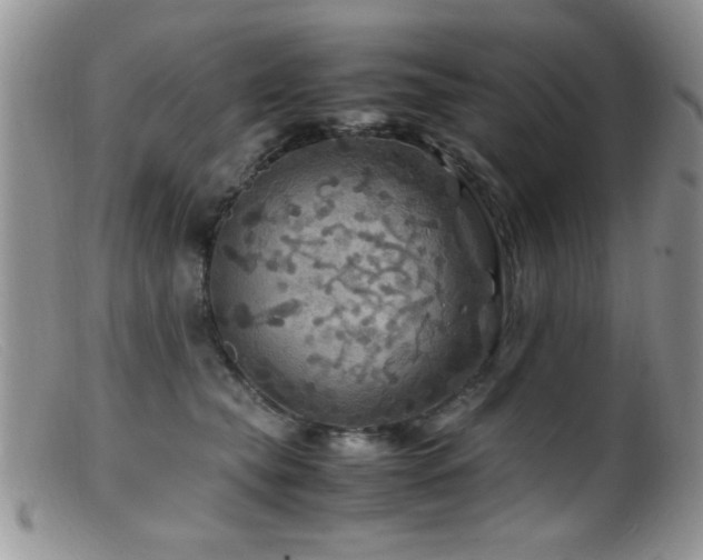 X0000099490565200805151410