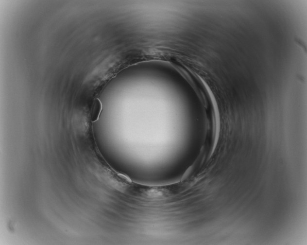 X0000099490566200805151410