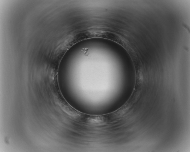 X0000099490567200805151410