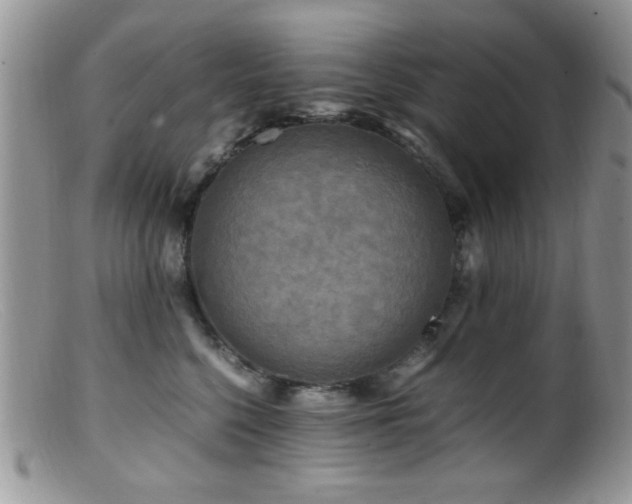 X0000099490568200805151410