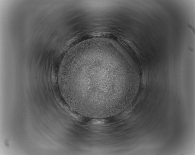X0000099490569200805151410