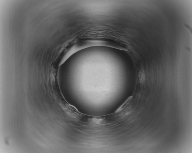 X0000099490570200805151410