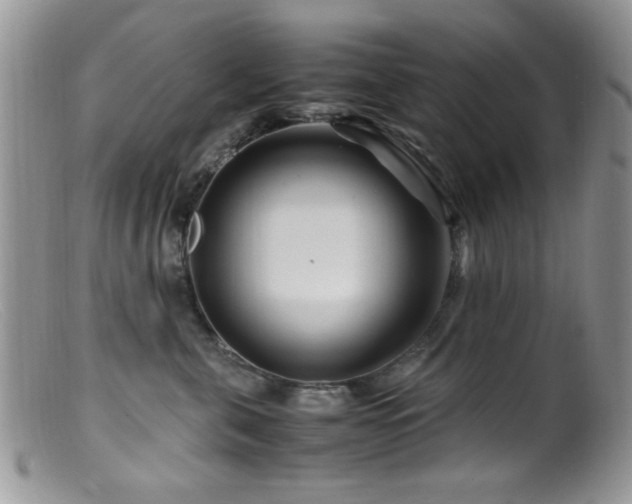X0000099490571200805151410