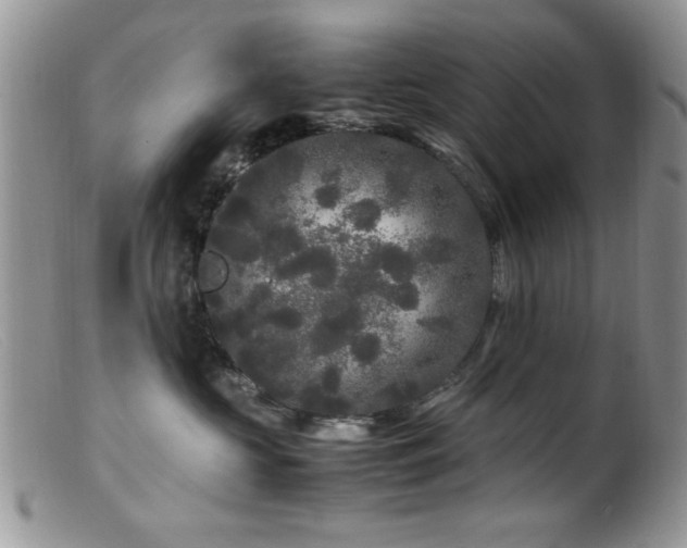 X0000099490573200805151410