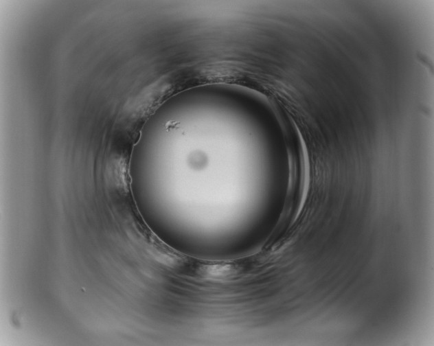 X0000099490575200805151410
