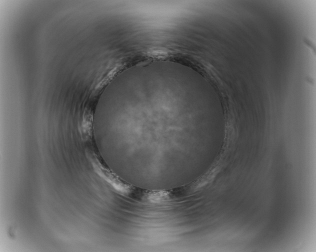 X0000099490576200805151410
