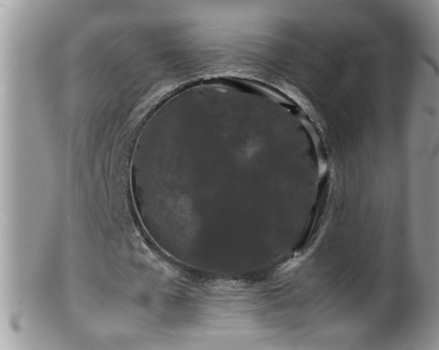 X0000099490577200805151409