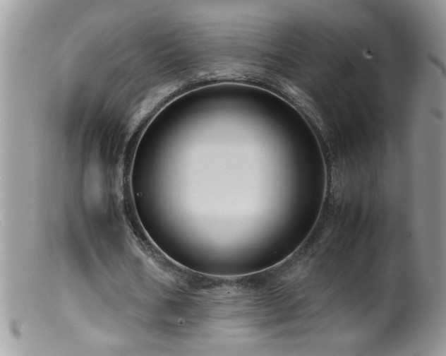 X0000099490578200805151409