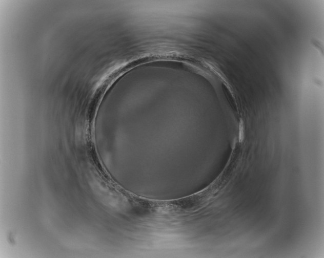 X0000099490579200805151409