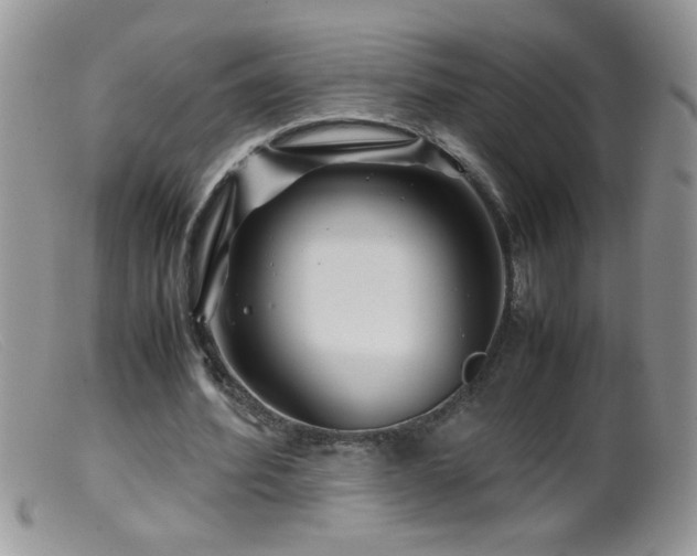 X0000099490580200805151409
