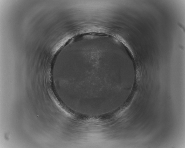 X0000099490581200805151409