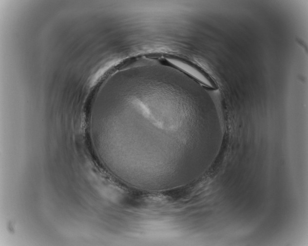 X0000099490583200805151409