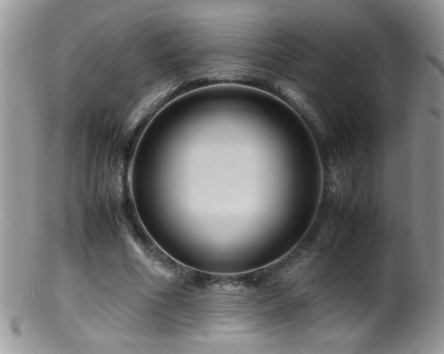 X0000099490586200805151409