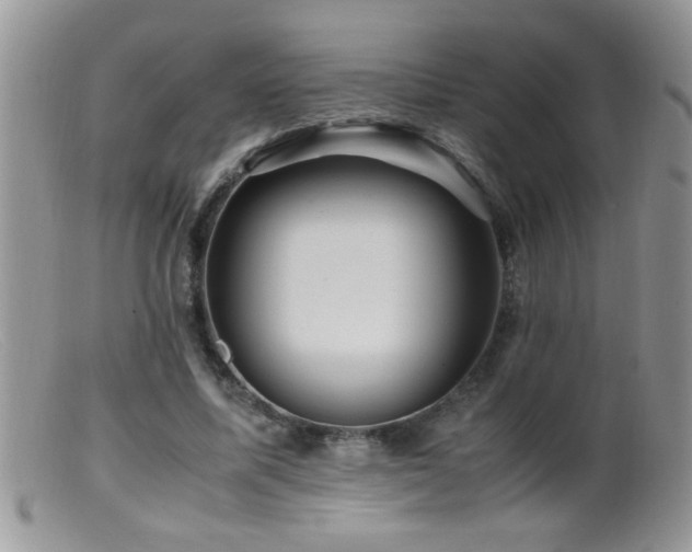 X0000099490587200805151409