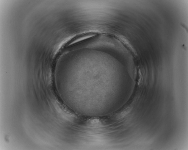 X0000099490588200805151409