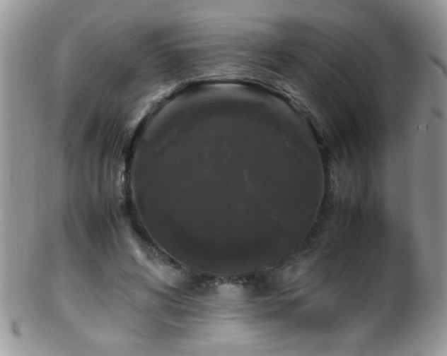 X0000099490592200805151409