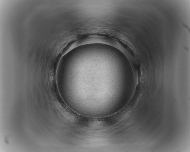 X0000099490593200805151409
