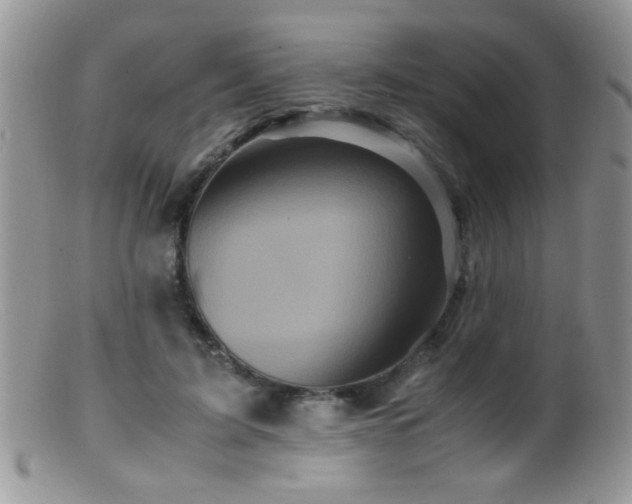 X0000099490595200805151409
