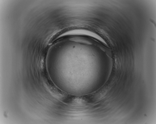 X0000099490596200805151409